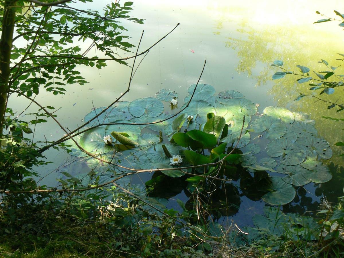 La Maison De L'Etang Sampigny Luaran gambar